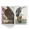 NHM Shop The Birds of America* Coffee-table Books | Gifts Under £50