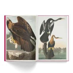 NHM Shop The Birds of America* Coffee-table Books | Gifts Under £50