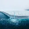 NHM Shop The Disappearing Ice Cap Wall Print* Current Wildlife Photographer Of The Year | Wildlife Photographer Of The Year