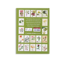 NHM Shop The Flora Collection: Postcards in a Box* Coffee-table Books