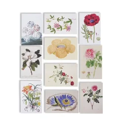 NHM Shop The Flora Collection: Postcards in a Box* Coffee-table Books
