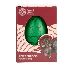 NHM Shop Triceratops Hatching Egg in a Box*Kids Toys | Dinosaur Toys