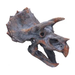 NHM Shop Triceratops Replica Skull* Homeware & Decor | Dinosaur Decor & Accessories