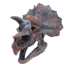 NHM Shop Triceratops Replica Skull* Homeware & Decor | Dinosaur Decor & Accessories
