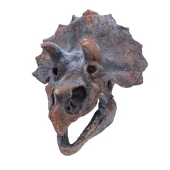 NHM Shop Triceratops Replica Skull* Homeware & Decor | Dinosaur Decor & Accessories
