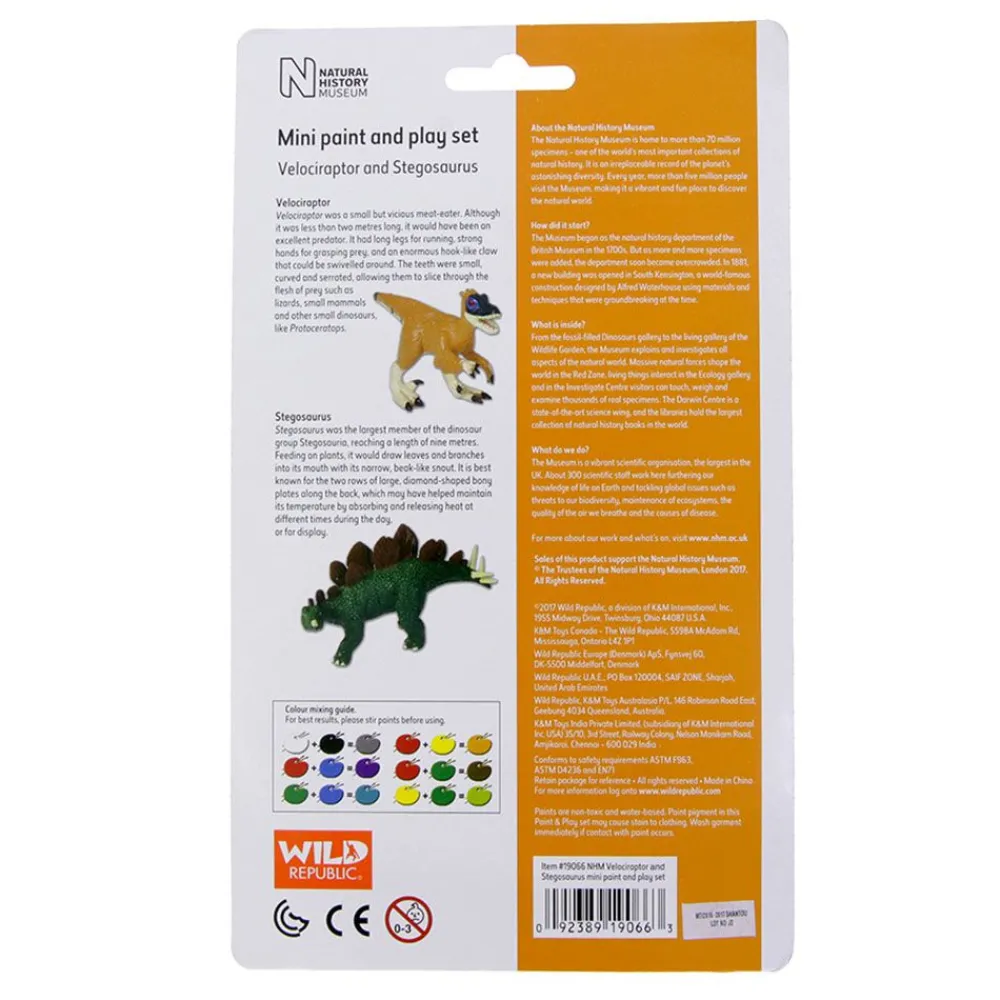 NHM Shop Velociraptor and Stegosaurus Mini Paint and Play Set* Kits, Puzzles & Activities | Dinosaur Games & Activities