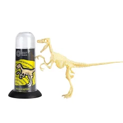 NHM Shop Velociraptor Fossil Skeleton* Kits, Puzzles & Activities | Dinosaur Games & Activities