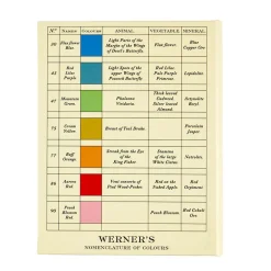 NHM Shop Werner’s Sticky Notes Set* Stationery | Pioneers Of The Natural World