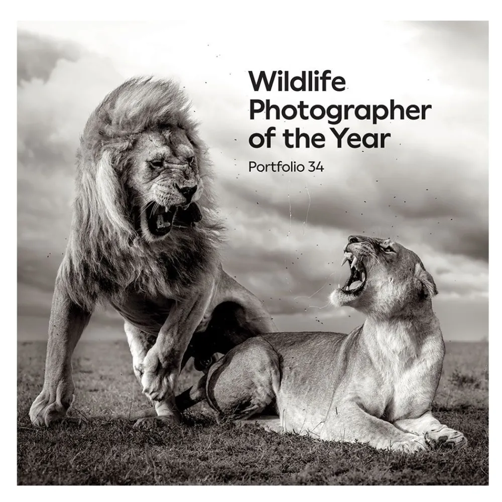NHM Shop Wildlife Photographer of the Year Portfolio 34* Museum-related Books | Father’s Day