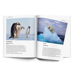 NHM Shop Wildlife Photographer of the Year Highlights Volume 10* Museum-related Books | Wildlife Photographer Of The Year