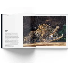 NHM Shop Wildlife Photographer of the Year Portfolio 34* Museum-related Books | Father’s Day