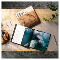 NHM Shop Wildlife Photographer of the Year Portfolio 33* Museum-related Books